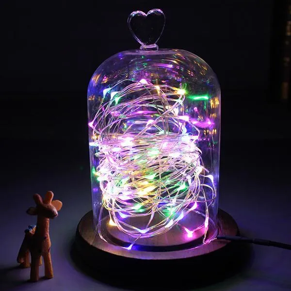 100 Led Copper Wire Remote String Lights(1 Set)