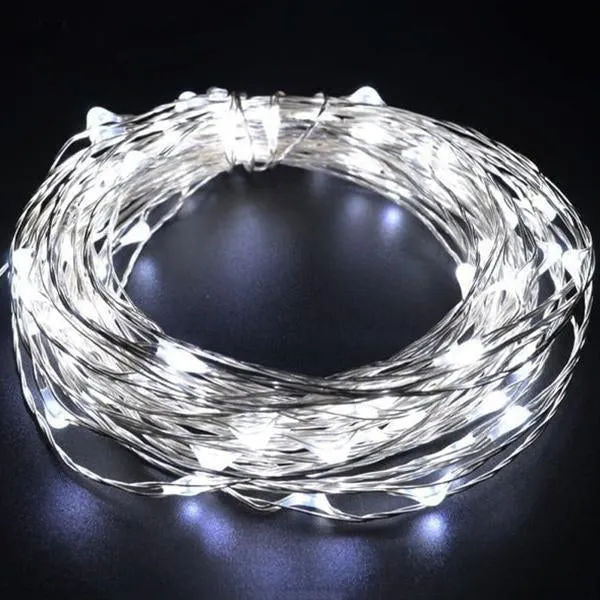 100 Led Copper Wire Remote String Lights(1 Set)