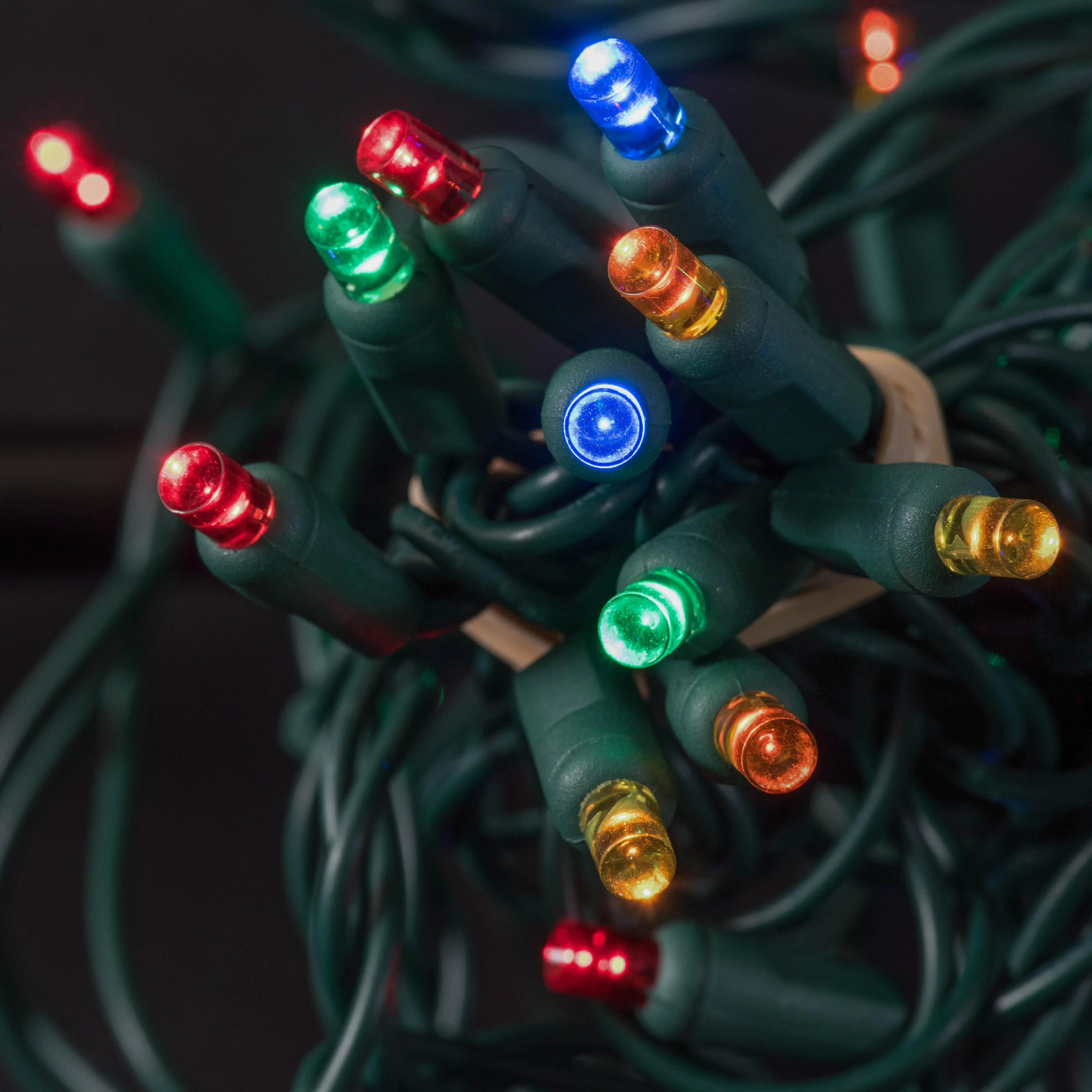 50-light  5mm Multicolor LED Christmas Lights, 6" Spacing Green Wire