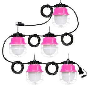 50FT LED Construction String Light