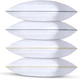 9villa Conjugated Micro Fiber Pillow 16 X 26 Inch Set Of 4 , Transparent