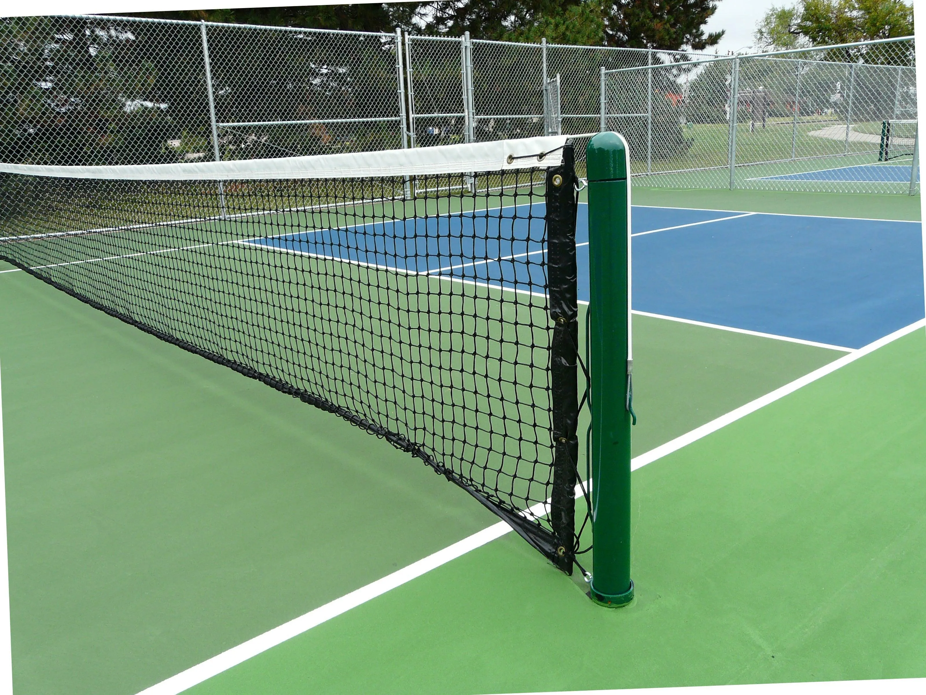 Bison Competition Pickleball Net