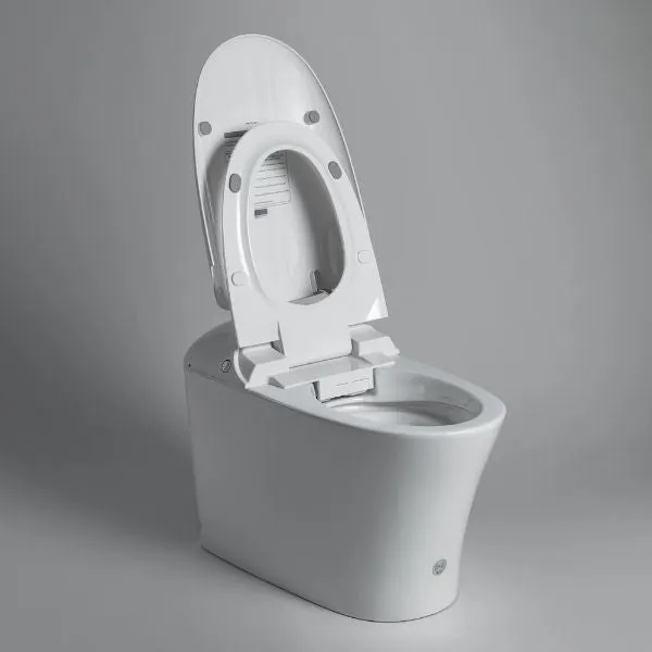 Bravat Elf Wish Intelligent Bidet Toilet