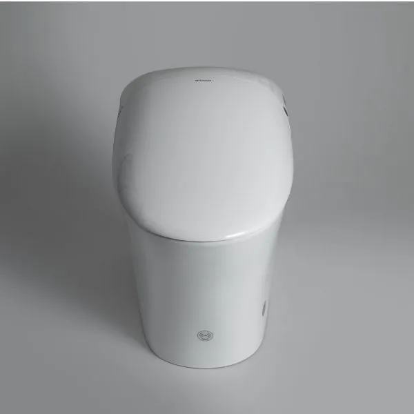 Bravat Elf Wish Intelligent Bidet Toilet