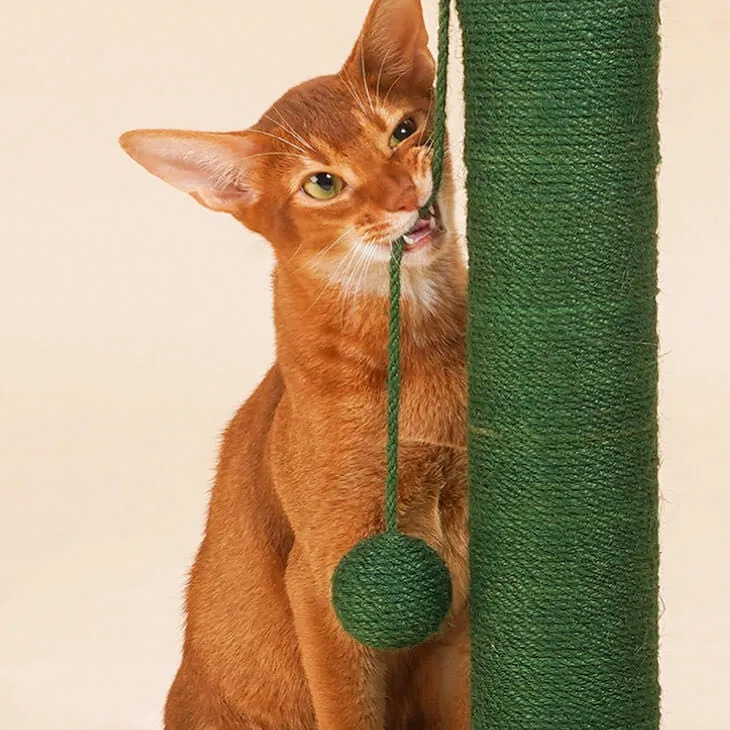 Cactus Style Sisal Cat Scratching Post