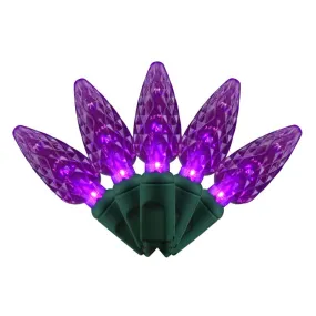 Celebrations Purple 100 ct LED C6 Halloween String Lights