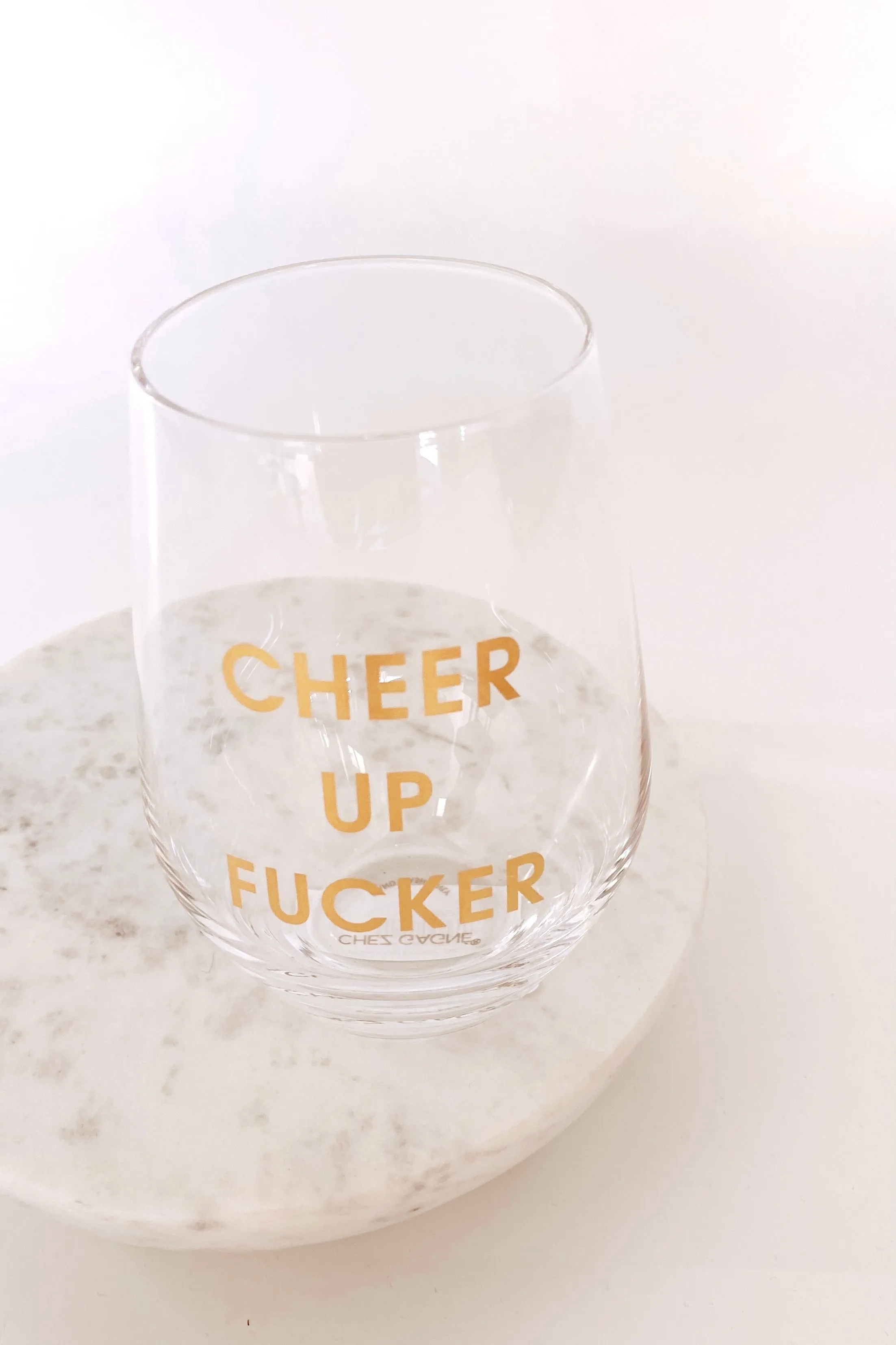 Cheer Up Fucker Wine Glass