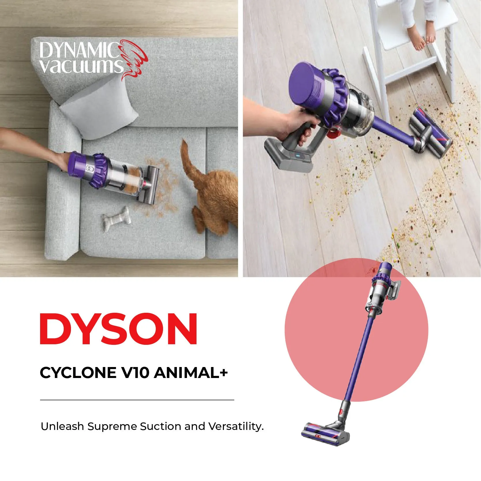 Dyson Cyclone V10 Animal 