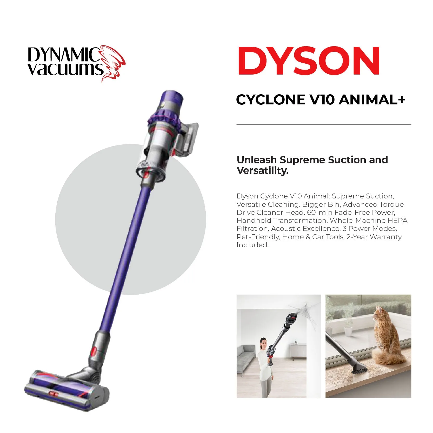 Dyson Cyclone V10 Animal 