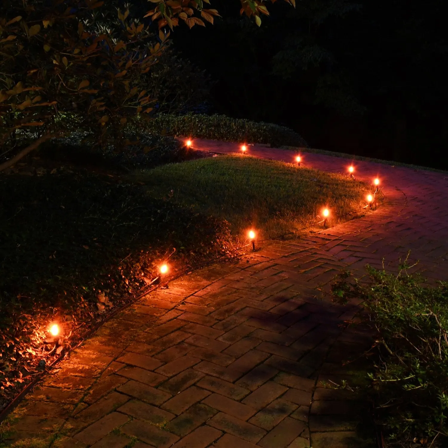 Electric Pathway Lights with 10 Bulbs