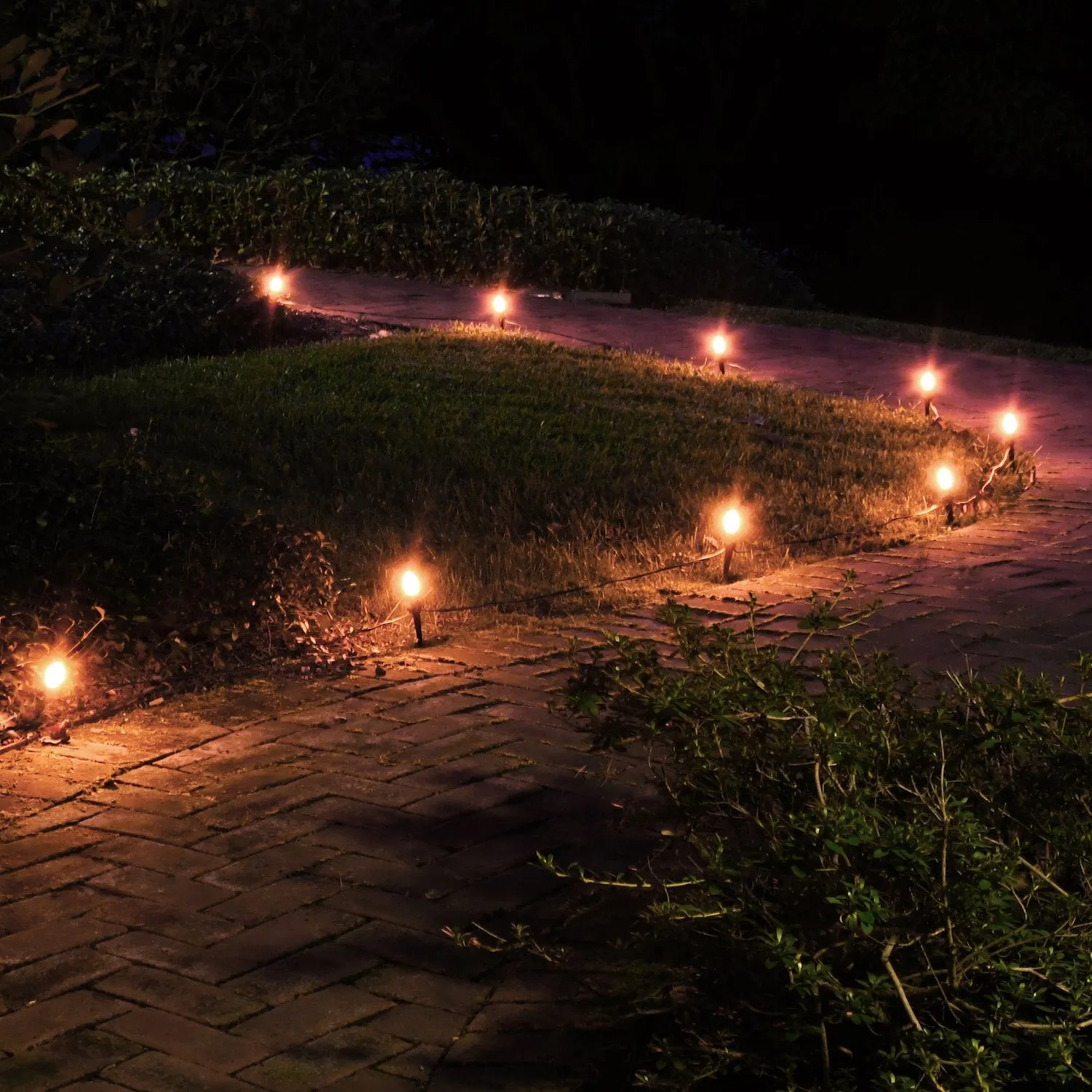 Electric Pathway Lights with 10 Bulbs