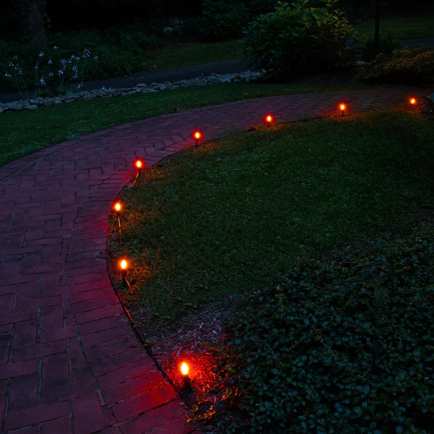 Electric Pathway Lights with 10 Bulbs