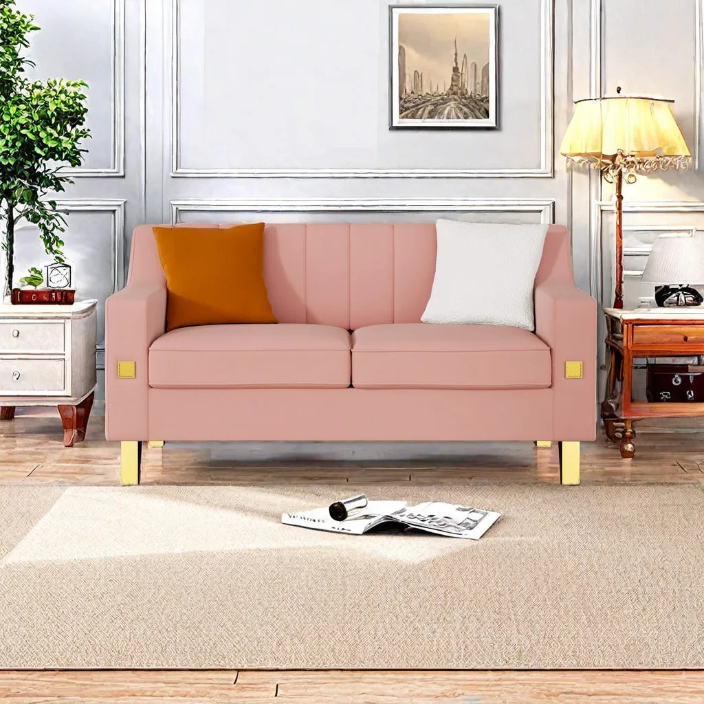 Fexa Velvet Loveseat Sofa - Pink