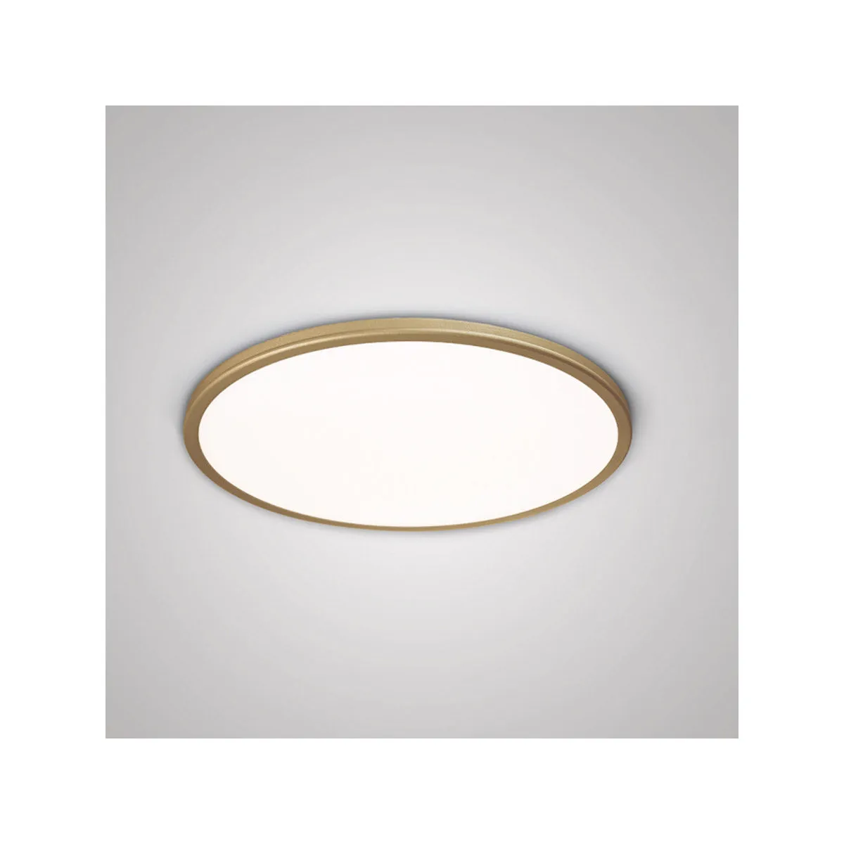 Geos 15 in. LED Disk Light 2700K Brushed Brass Finish