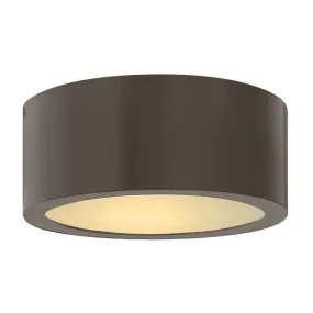 Hinkley 1665 Outdoor Luna Ceiling Light