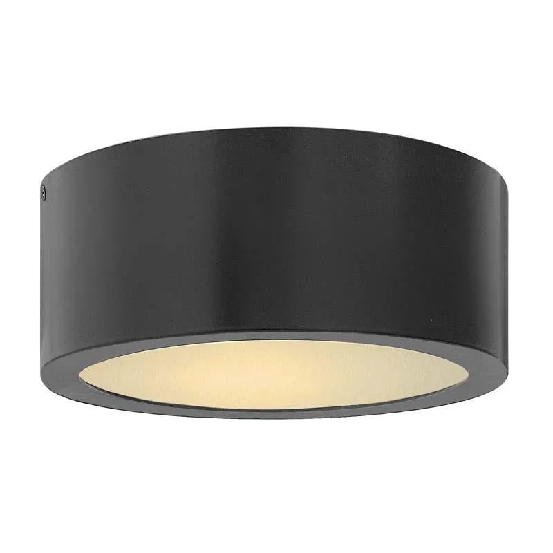 Hinkley 1665 Outdoor Luna Ceiling Light