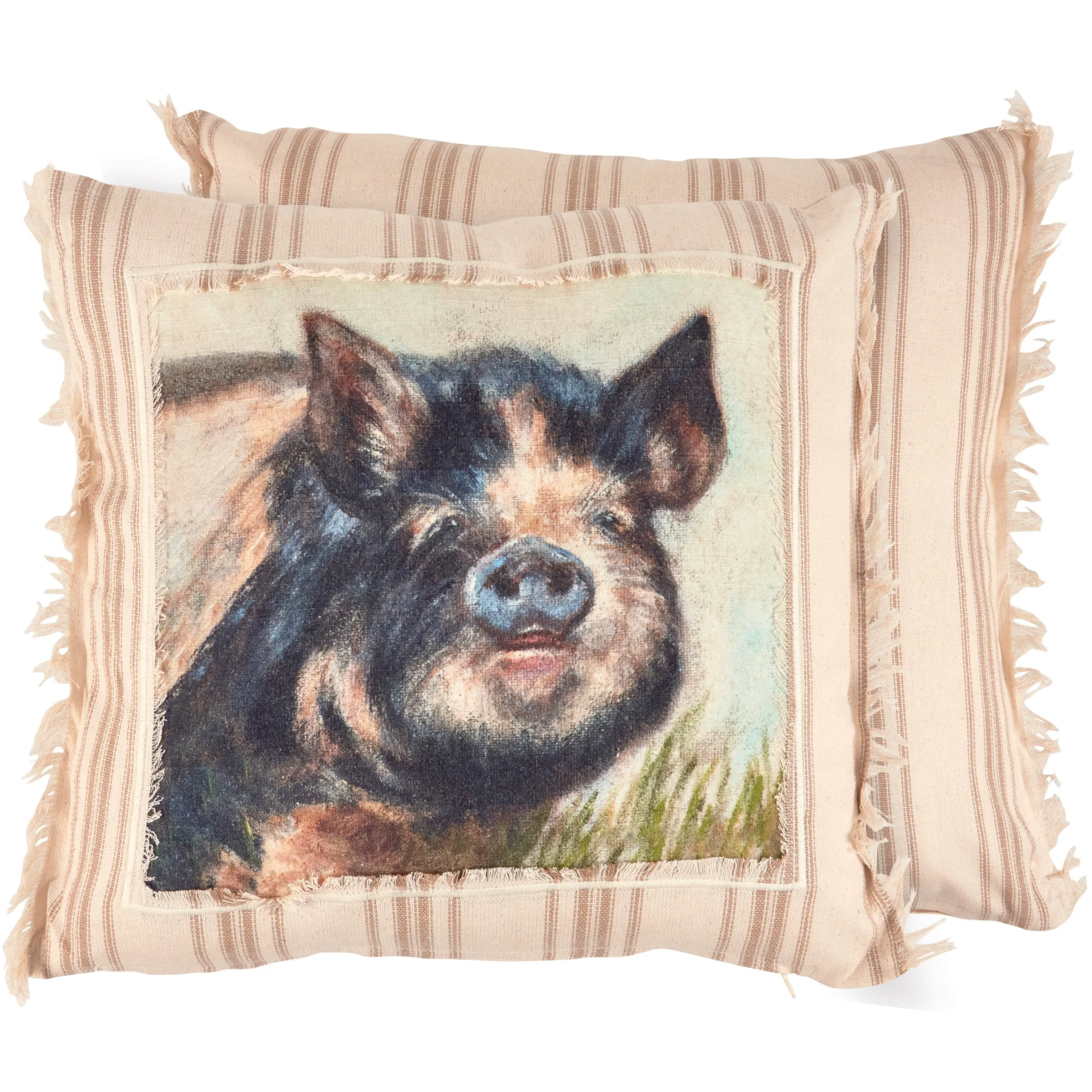 Kune Kune Pig Pillow