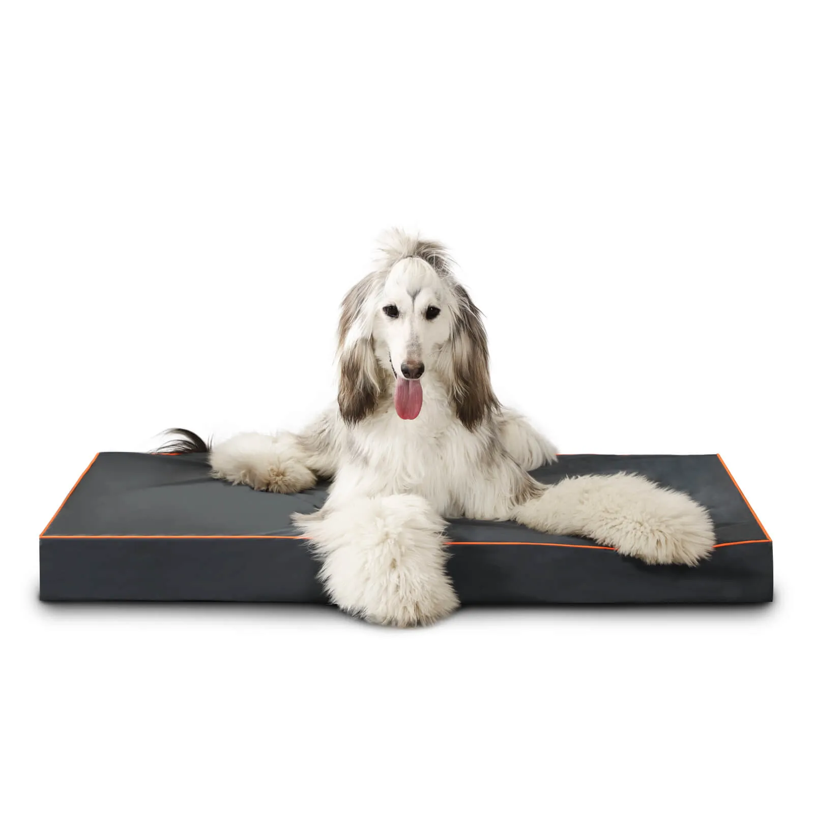 Laifug Egg-Crate Foam Dog Bed