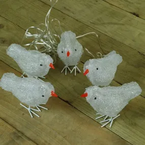 Outdoor Illuminated Decoration: Five Acrylic Birds with White LEDs