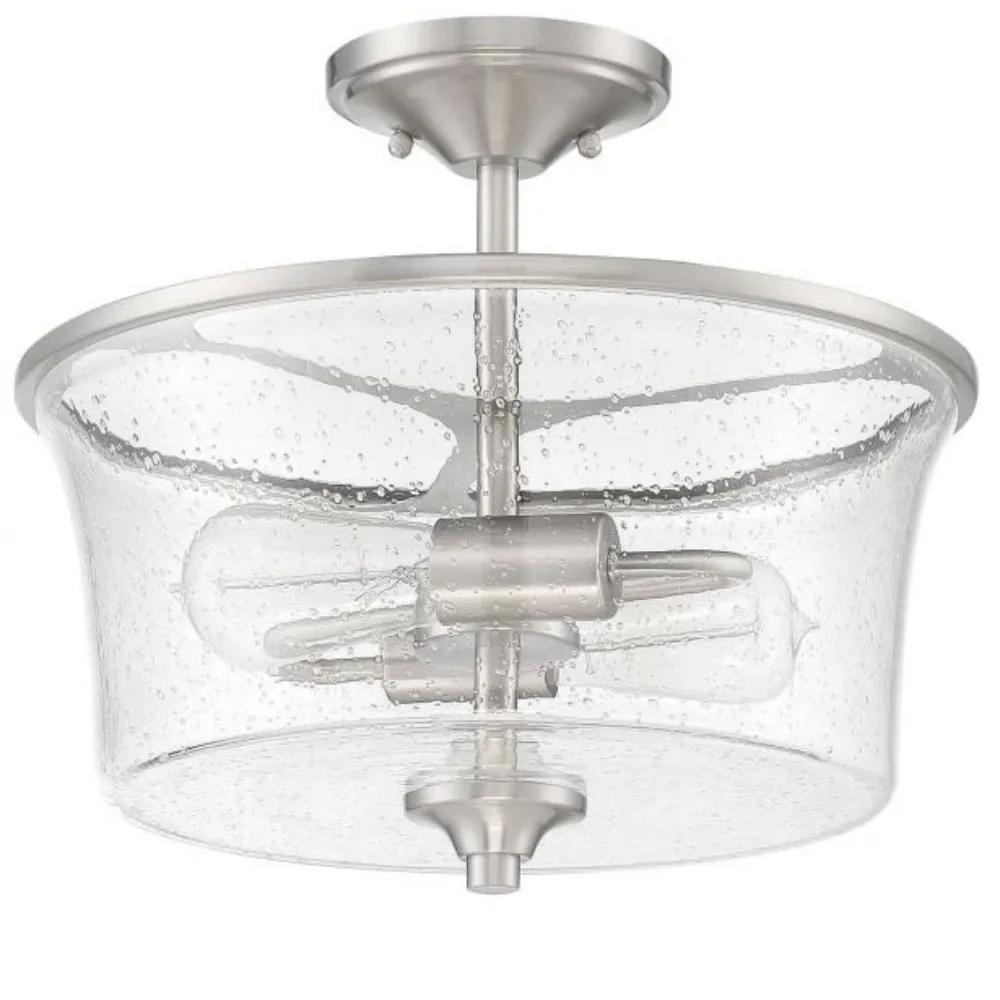 Paltrow 2-Light Ceiling Mount