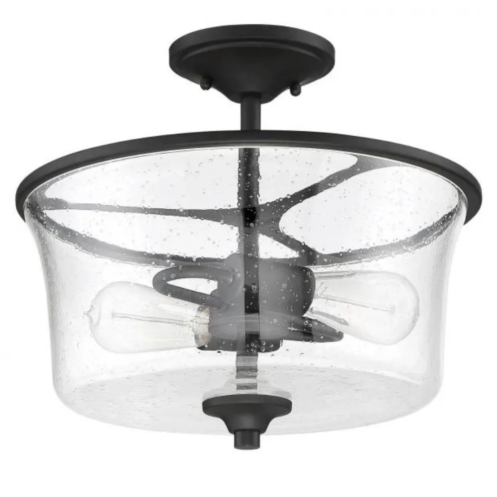 Paltrow 2-Light Ceiling Mount