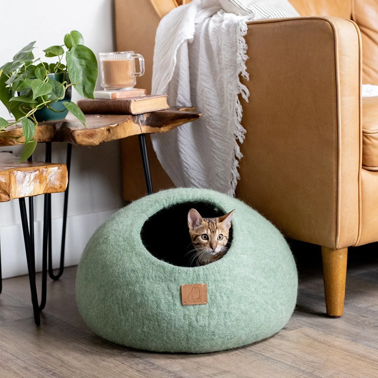 Premium Felted Wool Cat Cave Bed - Eucalyptus Green