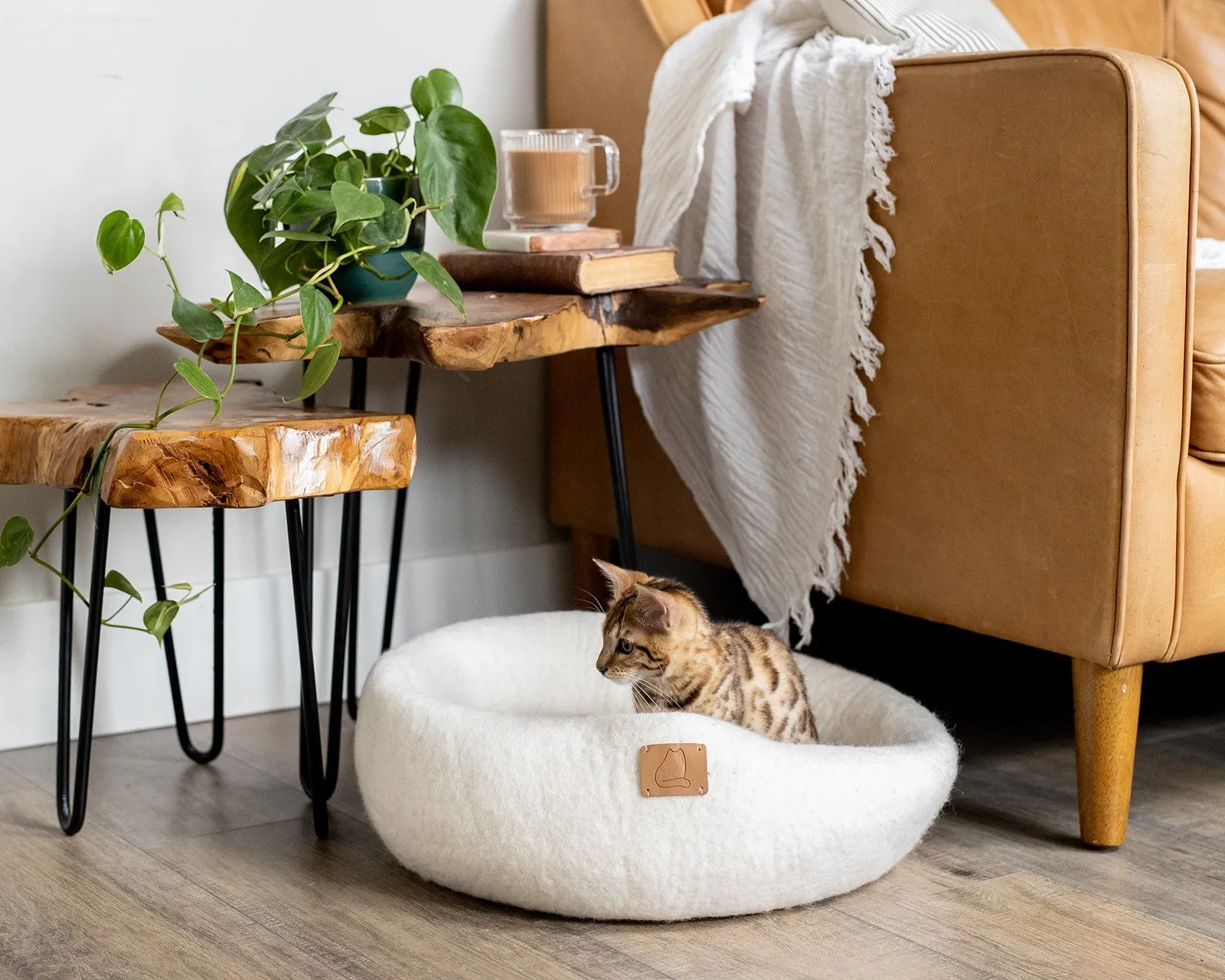 Premium Felted Wool Cat Cave Bed - Snow White