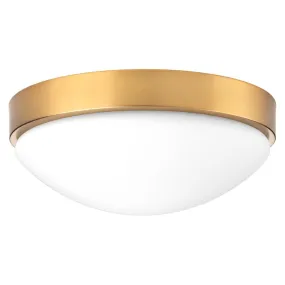 Progress P350105 Elevate 1-lt LED Flush Mount