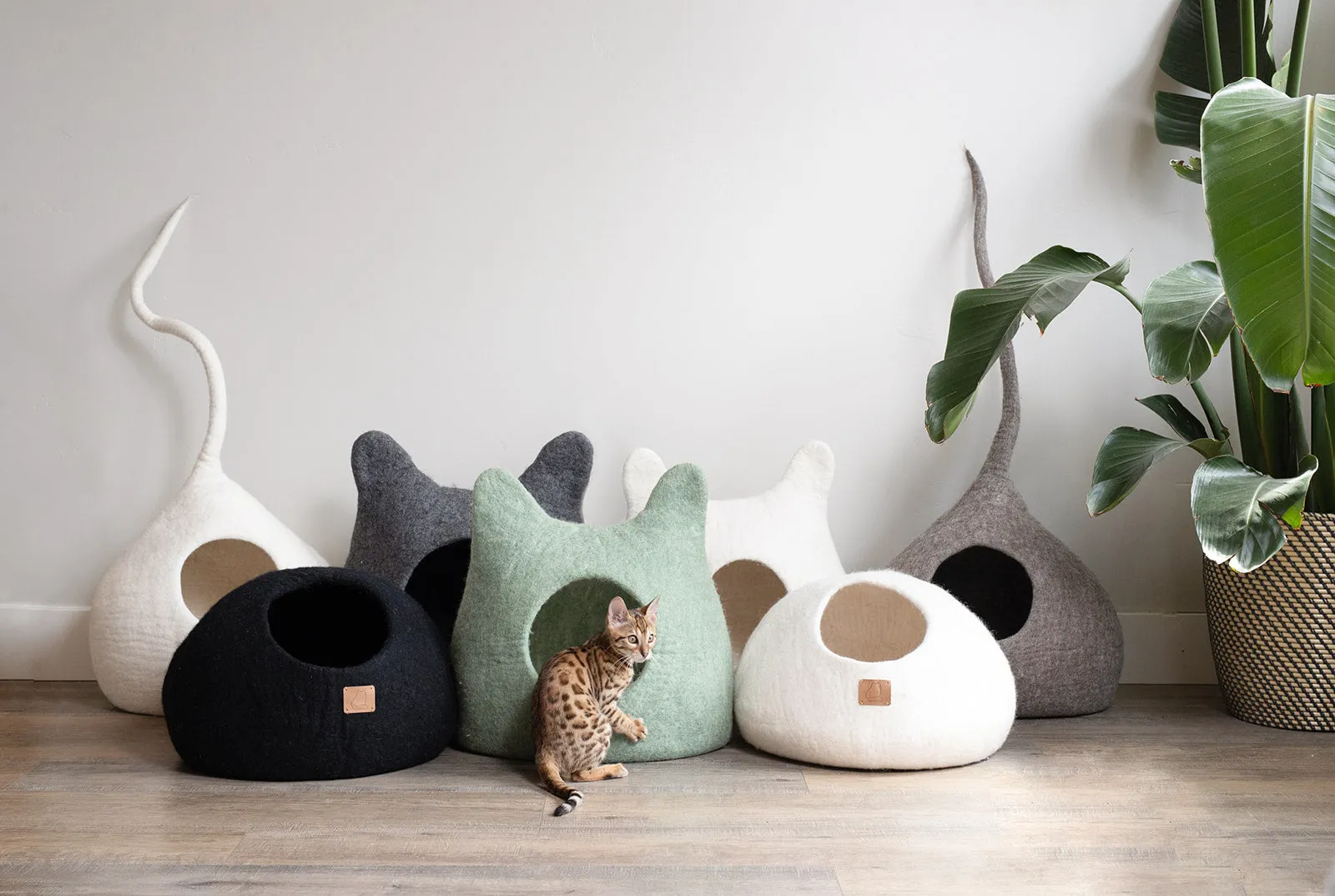 Whimsical Cat Ear Cave Bed - Forest Green