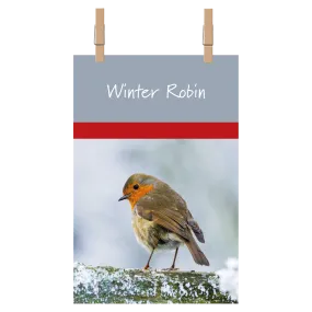 Winter Robin Tea Towel