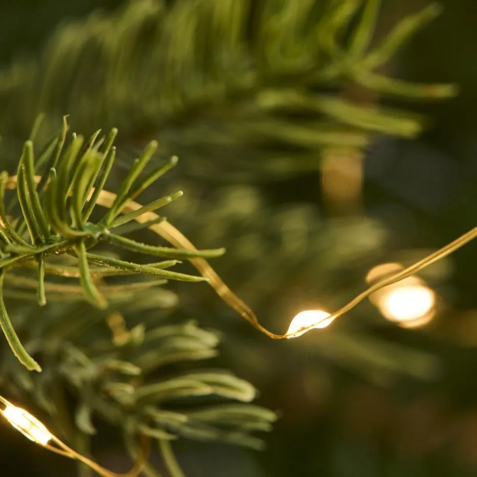 Wire String Lights